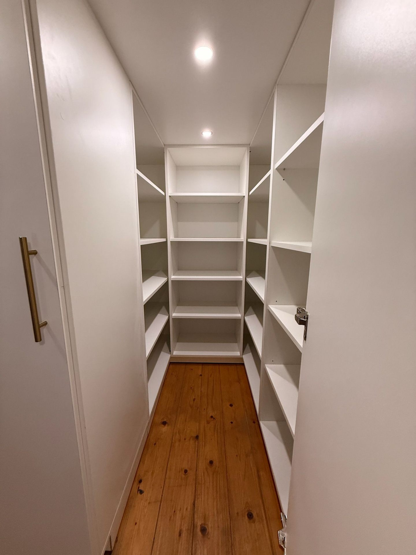 Walk-in pantry with floor-to-ceiling shelving on three walls